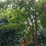 Casa Elsa Charming דירה מונטבלונה