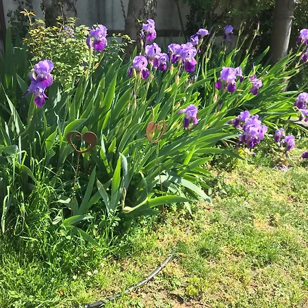 Apartamento Casa Elsa Charming