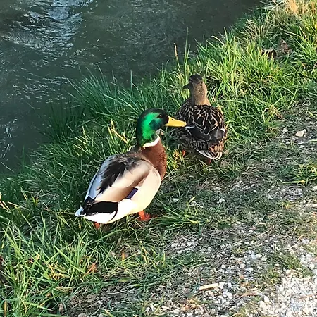 Casa Elsa Charming Apartamento *