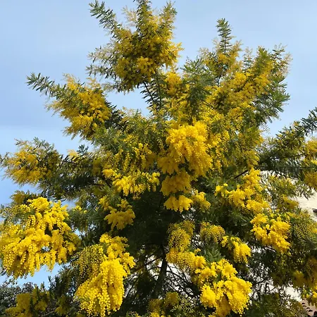 Casa Elsa Charming Apartamento Montebelluna