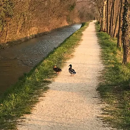 Apartamento Casa Elsa Charming