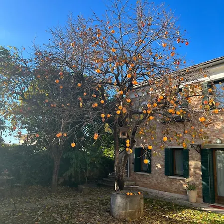 Apartamento Casa Elsa Charming