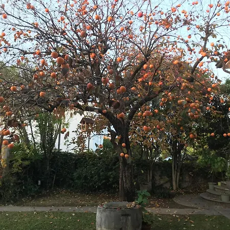 Casa Elsa Charming *