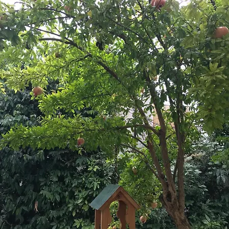 Casa Elsa Charming Appartamento Montebelluna